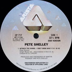 Pete Shelley - Witness The Change / I Don't Know What It Is (1981)