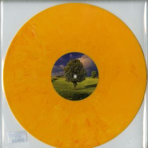 Dragutesku - DRGS005 (2019)