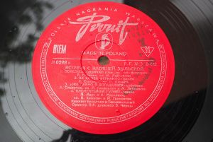 Наташа Зыльска - Встреча С Наташей Зыльской (1960)