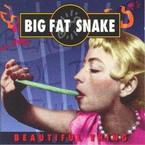 Big Fat Snake - Beautiful Thing