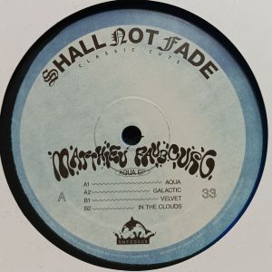 Matthieu Faubourg - Aqua EP (2022)