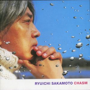 Ryuichi Sakamoto - Chasm (2004)