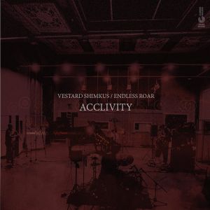Vestard Shimkus / Endless Roar - Acclivity (2022)