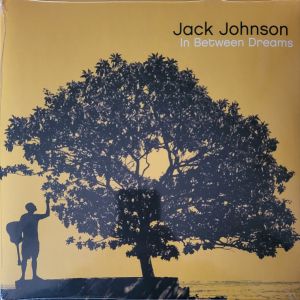 Jack Johnson - In Between Dreams (2023)
