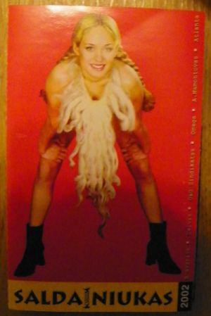 Various - Saldainiukas 2002 (2001)