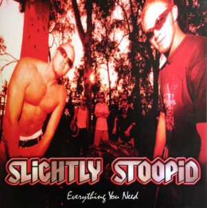 Slightly Stoopid - Everything You Need (2012)