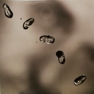 Peter Gabriel - Up (2016)